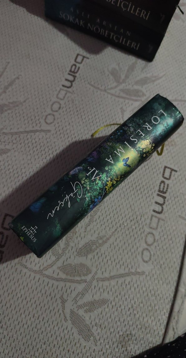 Gökçen 4 - Masallar ve Sonları yan baskılı - Görsel 2