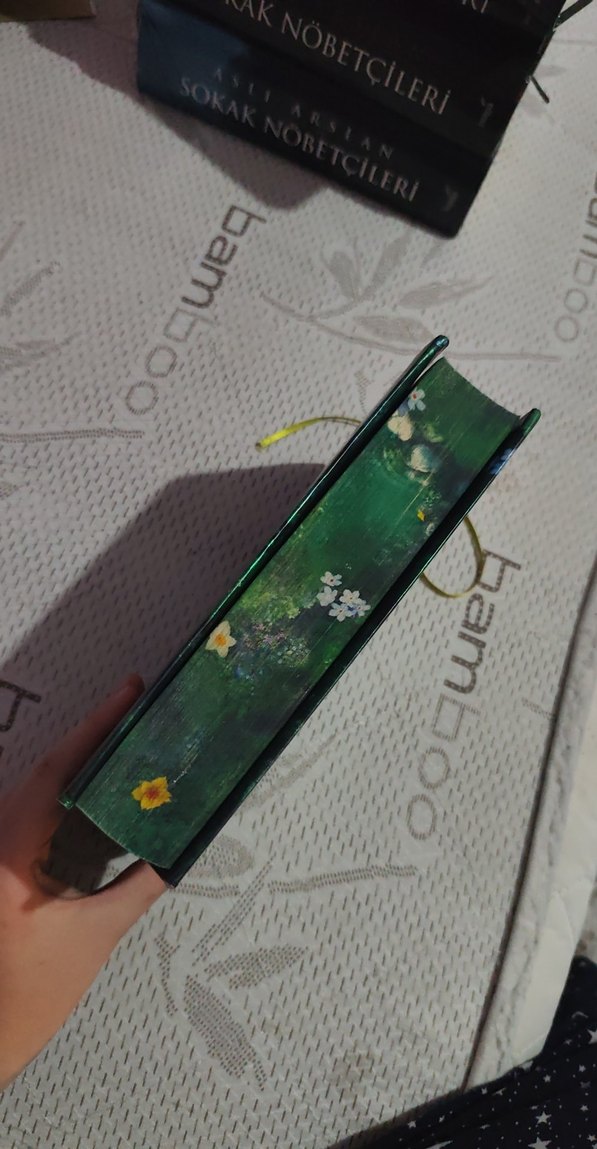 Gökçen 4 - Masallar ve Sonları yan baskılı - Görsel 3