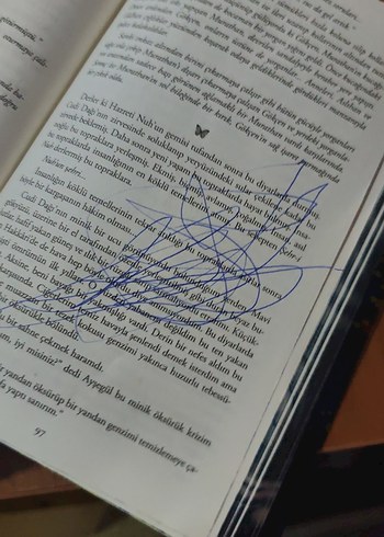 LORESİMA - Unutulan Çiçekler Romanı - Görsel 7