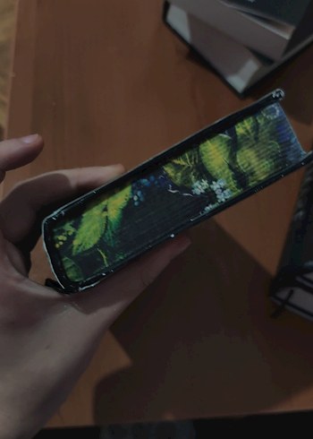 LORESİMA - Unutulan Çiçekler Romanı - Görsel 4