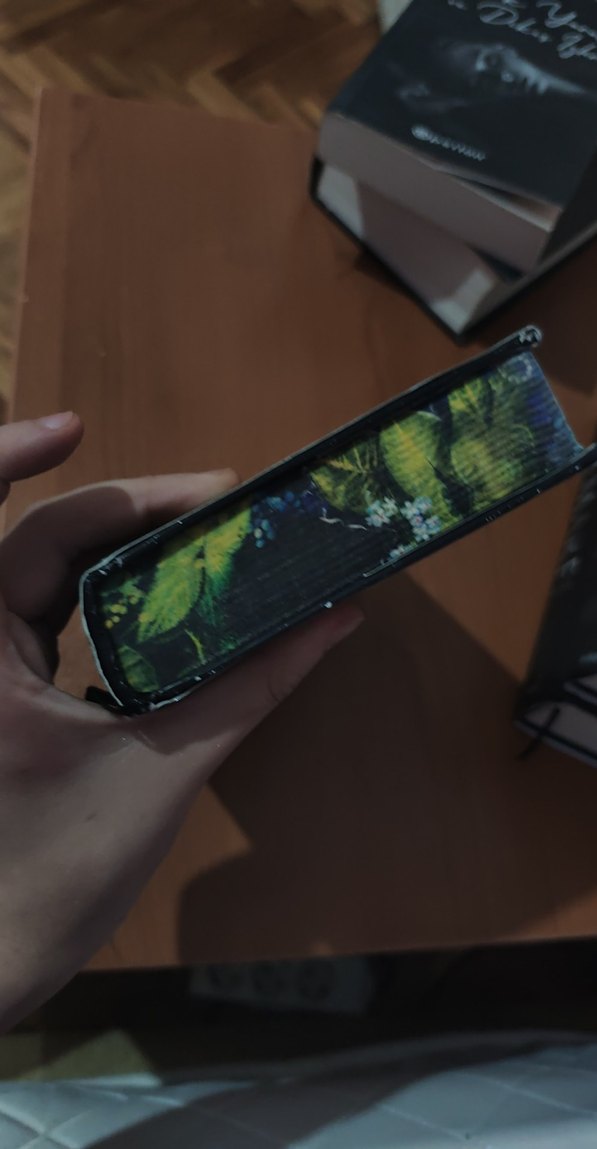 LORESİMA - Unutulan Çiçekler Romanı - Görsel 4