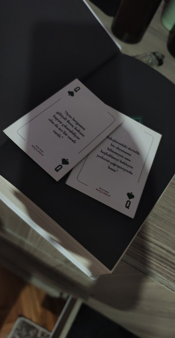 Maça Kızı  1 ve 2 ciltli - Görsel 3