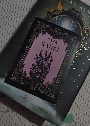 Saka ve Sanri 1 - Maral Atmaca - Görsel 3