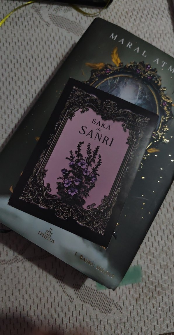 Saka ve Sanri 1 - Maral Atmaca - Görsel 3