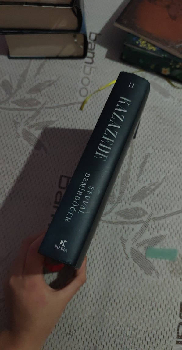 Kazazede 2 - Şevval Demirdöğer Romanı - Görsel 2