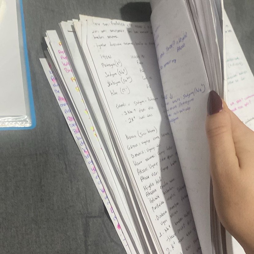 Sınav Hazırlık Notları ve Materyalleri - Görsel 5