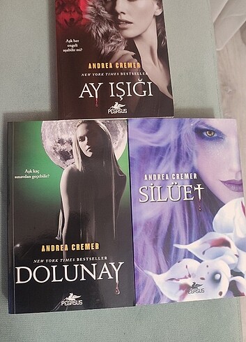 Silüet Serisi - 3 Kitap 