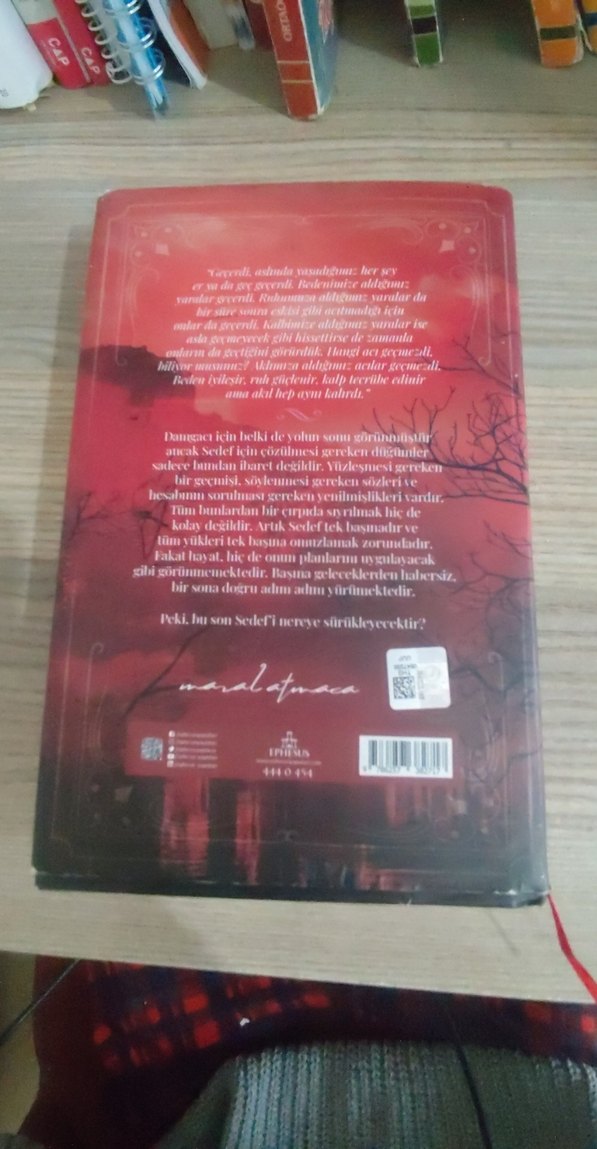 Yaralasar4 - Maral Atmaca - Görsel 2