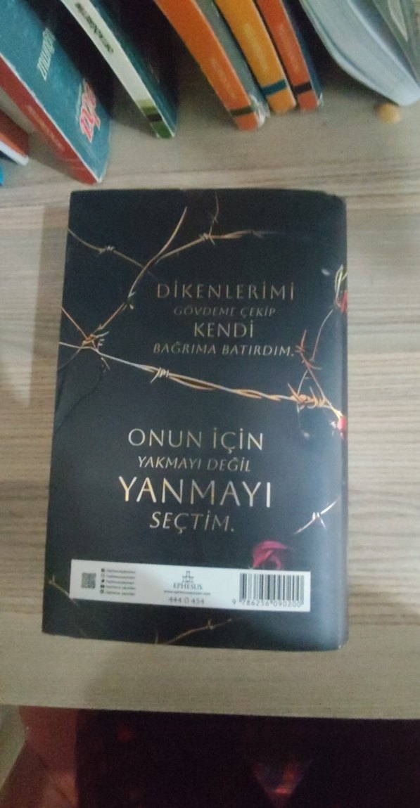 Bülbül Kapanı - Loresima - Görsel 3