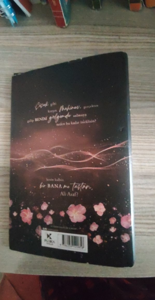 Mahi Roman Kitabı - Görsel 4