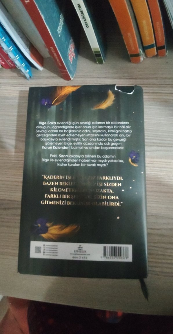 Saka ve sanrı  Maral Atmaca - Görsel 2