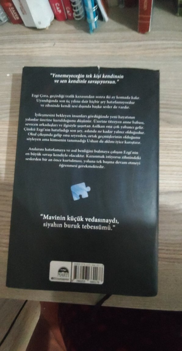 Martı Yayınları - Zeynep Sey Romanı - Görsel 3