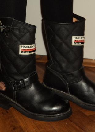 Harley Davidson 38 Numara Bot