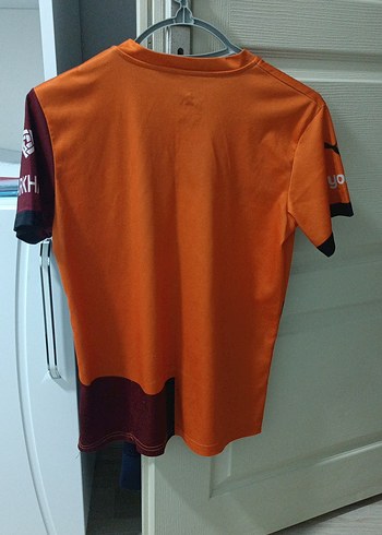 Galatasaray 2024-2025 Kısa Kollu Erkek Forma - Görsel 2