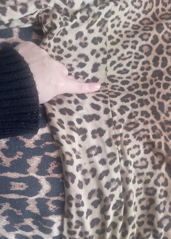 Kahverengi Leopar Desenli Sokak Tarzı Kedi Kıyafeti - Görsel 2