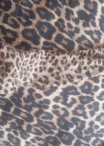 Kahverengi Leopar Desenli Sokak Tarzı Kedi Kıyafeti - Görsel 3