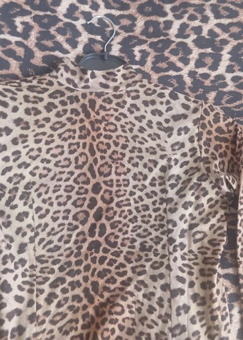 Kahverengi Leopar Desenli Sokak Tarzı Kedi Kıyafeti - Görsel 4