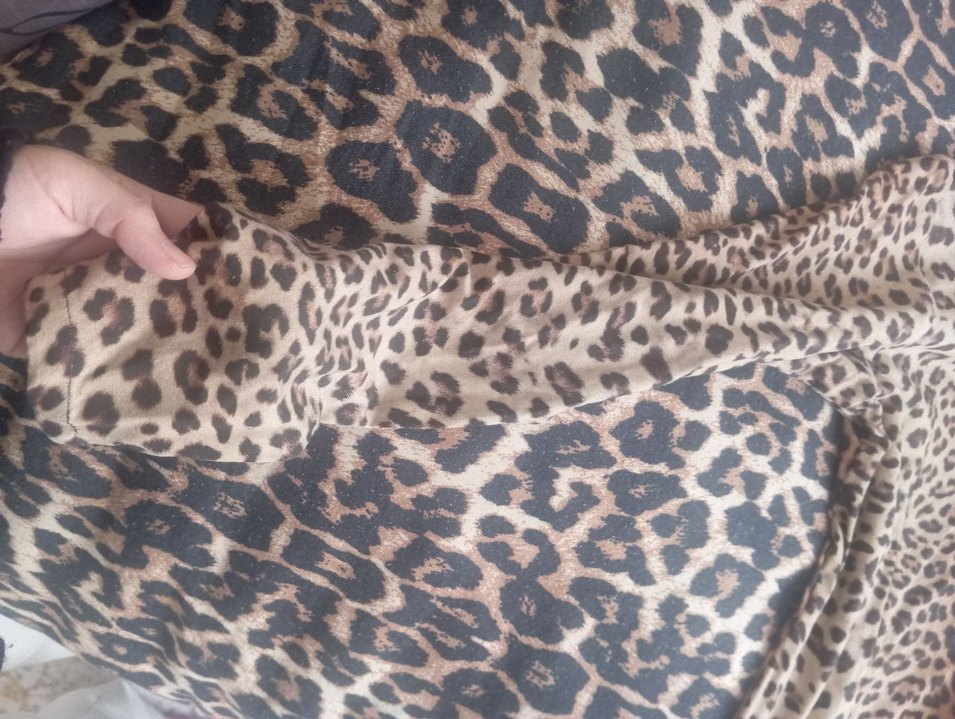 Kahverengi Leopar Desenli Sokak Tarzı Kedi Kıyafeti - Görsel 3