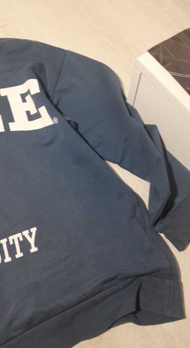 Mavi Baskılı Sweatshirt - Görsel 2