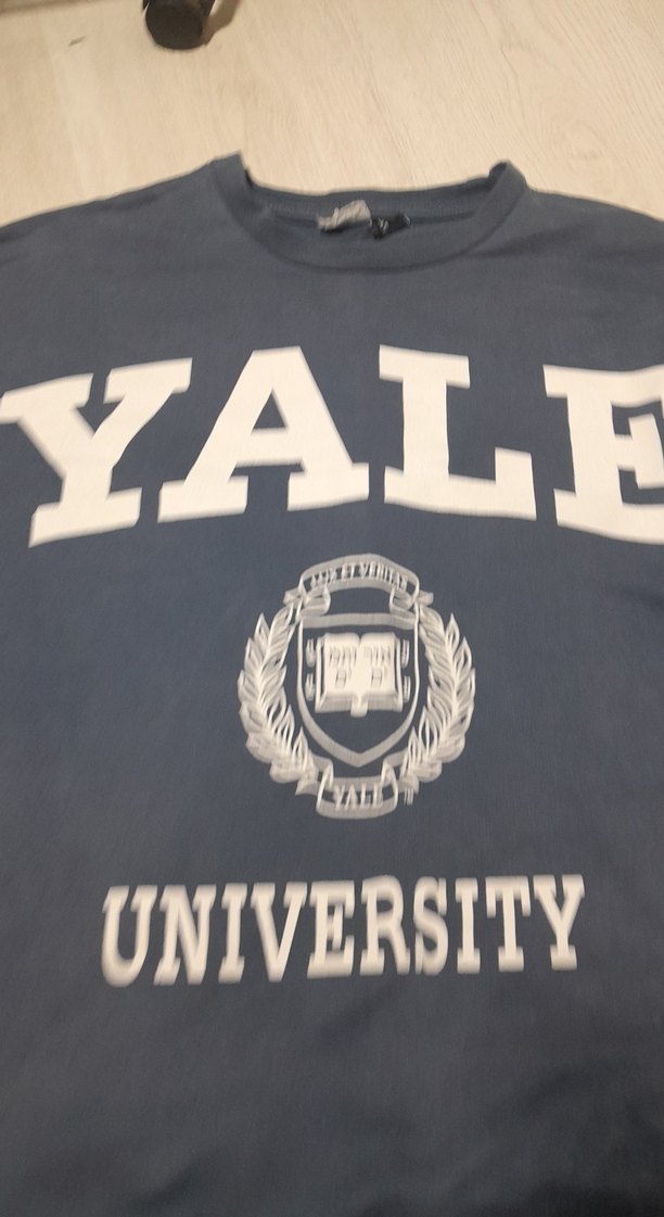 Mavi Baskılı Sweatshirt - Görsel 4