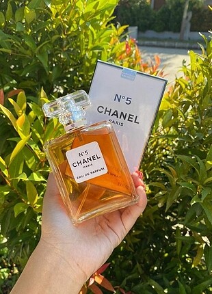Chanel no5