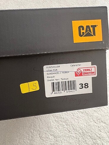 38 Beden Cat bot