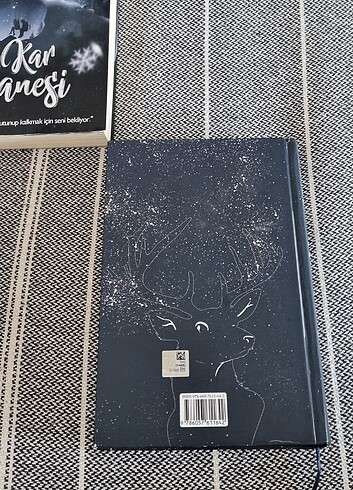 Beden Beyza alkoç kar tanesi ve kar küresi