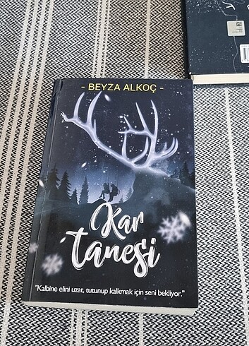 Beyza alkoç kar tanesi ve kar küresi 