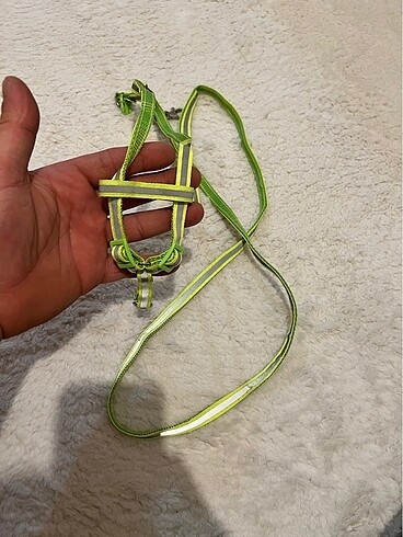 Kedi taşması - Görsel 2