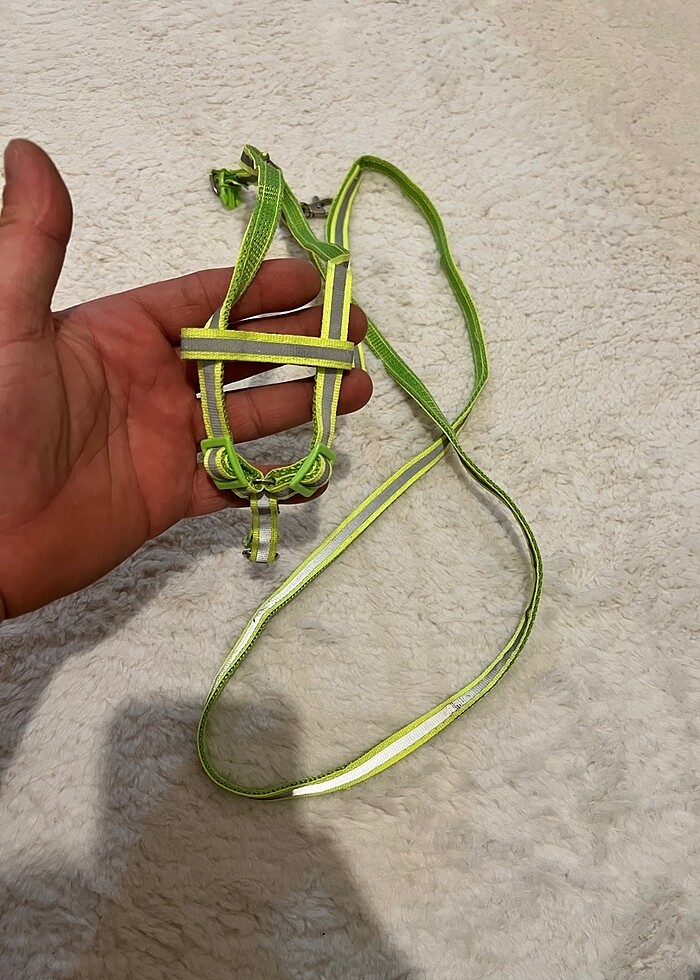 Kedi taşması - Görsel 2