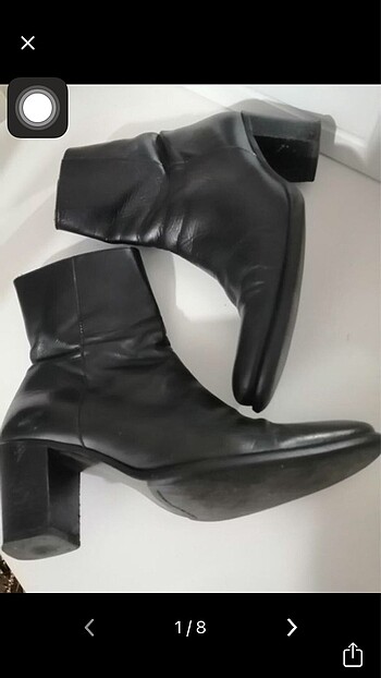 Zara Bot
