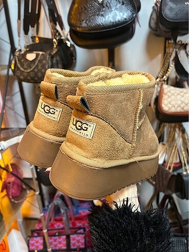 Ugg Suet Taba Ugg