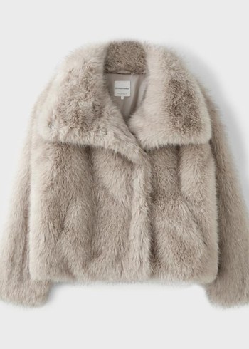 Stradivarius Kurk