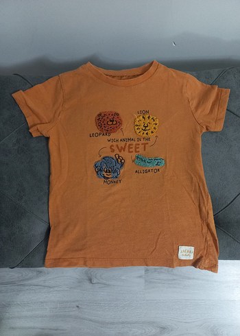 Çok Renkli Baskılı Erkek Çocuk Tişört - Görsel 4