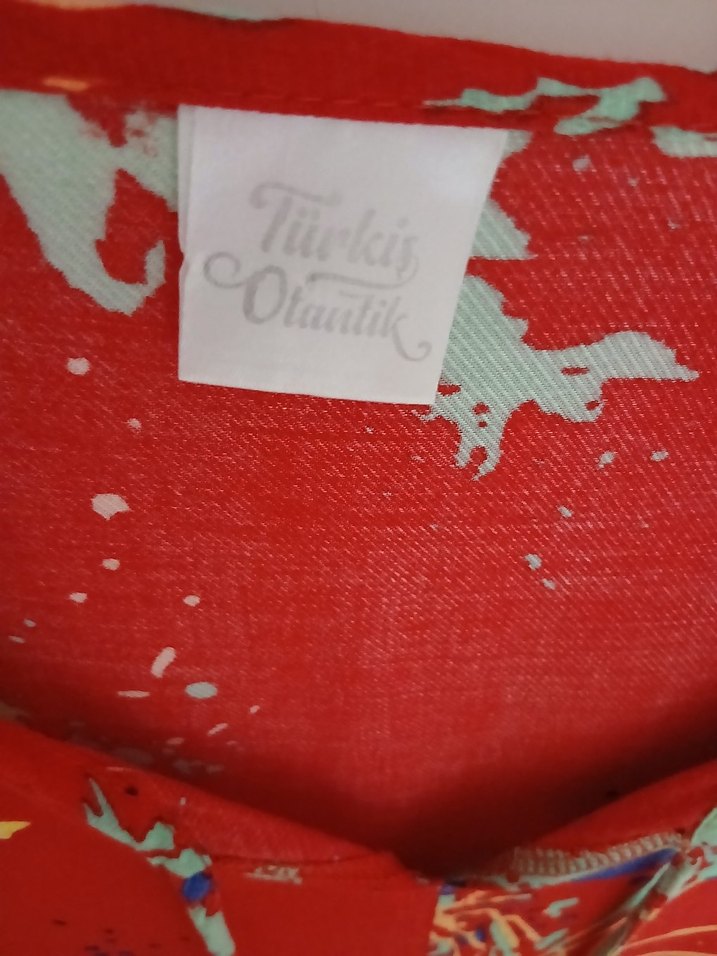 Desenli otantik elbise - Görsel 3