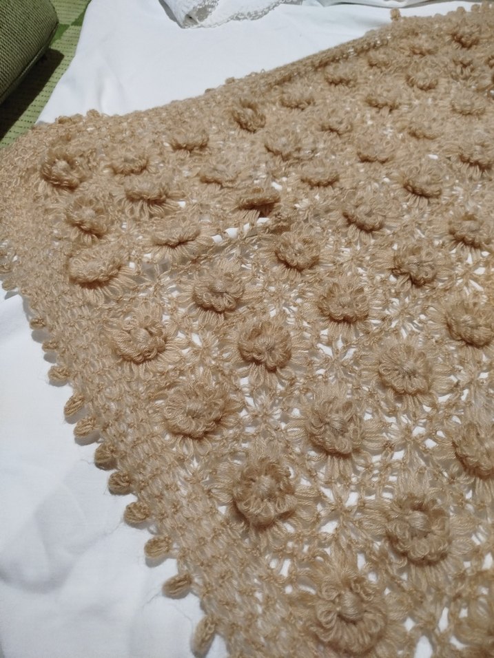 Bej Örgü Kadın Şal - Görsel 5