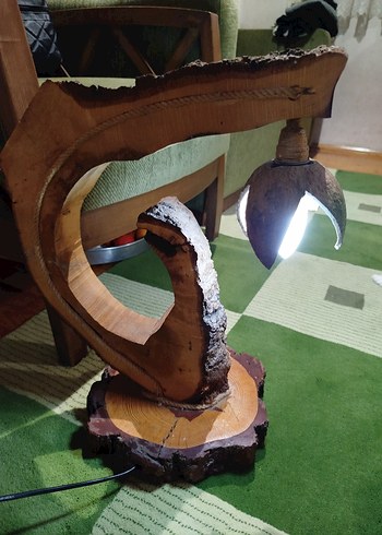 Parlak Deve Rengi Ahşap lamba - Görsel 4