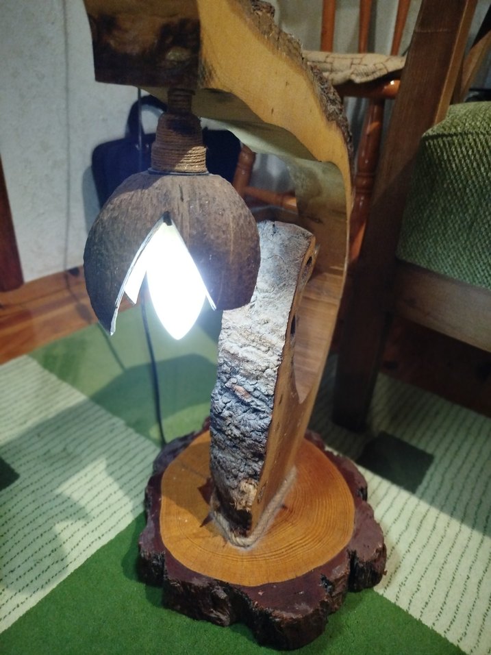 Parlak Deve Rengi Ahşap lamba - Görsel 5