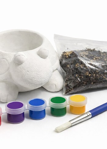 Renkli Kaplumbağa Çim Saksı ve Boya Seti - Görsel 2