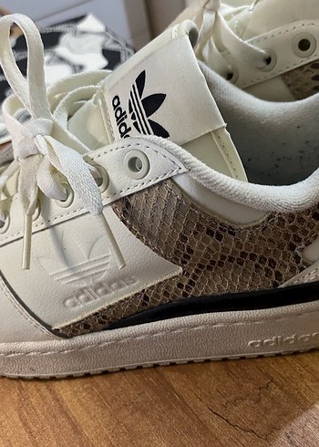 Adidas Trefoil Beyaz Sneaker