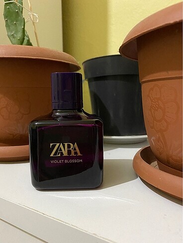 Zara parfum