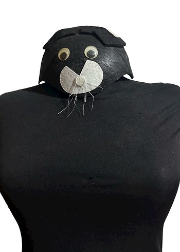 Kedi Şapkası - Görsel 2