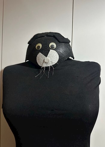 Kedi Şapkası - Görsel 5