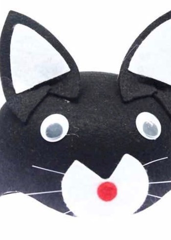 Kedi Şapkası - Görsel 3