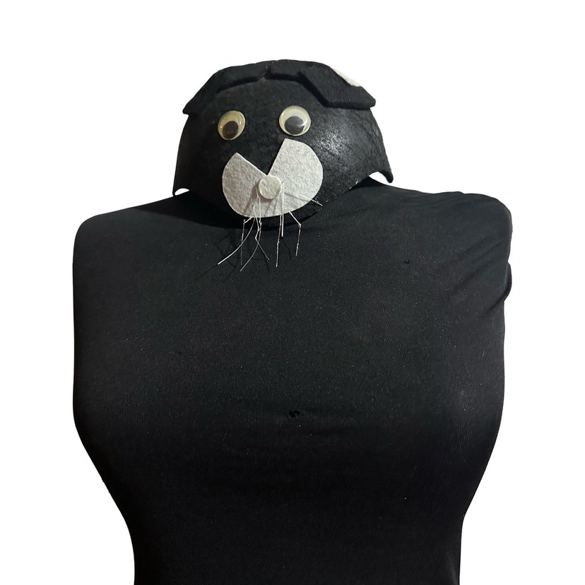 Kedi Şapkası - Görsel 2