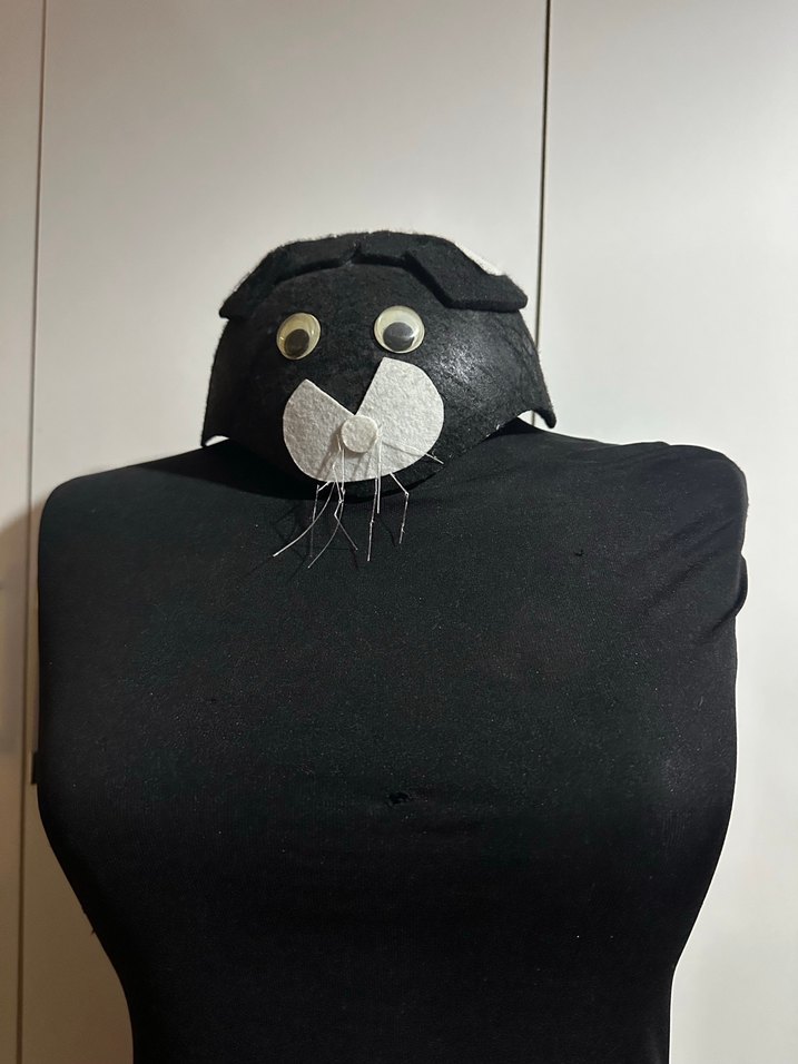 Kedi Şapkası - Görsel 5