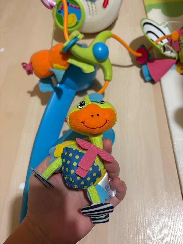 Tiny Love Renkli Müzikli Dönence - Görsel 3