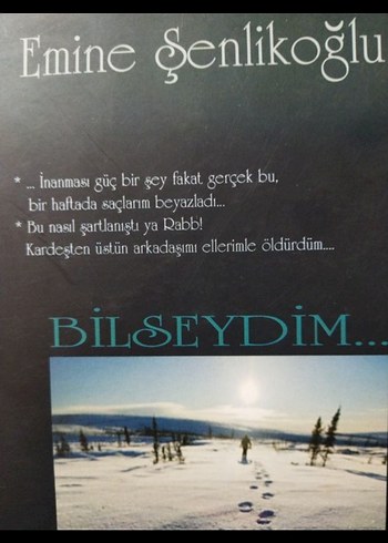 Emine Şenlikoğlu - Bilseydim Romanı - Görsel 4