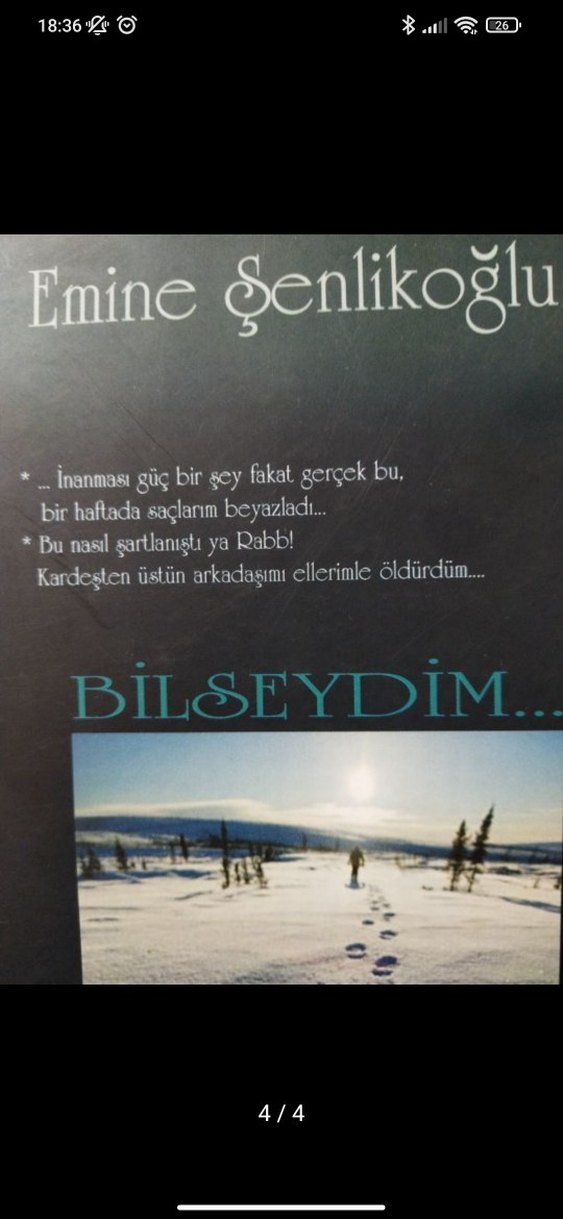 Emine Şenlikoğlu - Bilseydim Romanı - Görsel 4