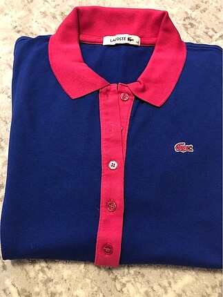 Lacoste polo yaka tshirt